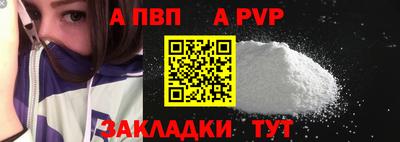 индика Кингисепп