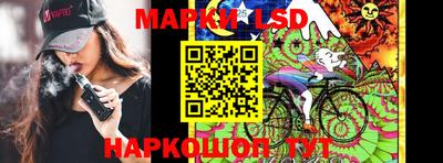индика Кингисепп