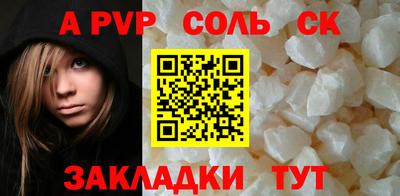 индика Кингисепп