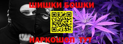 индика Кингисепп