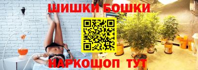 индика Кингисепп