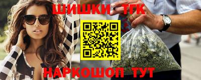 индика Кингисепп