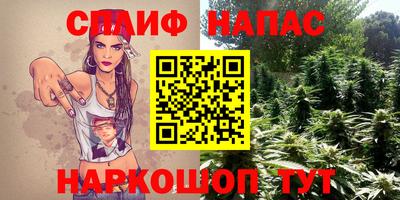 индика Кингисепп