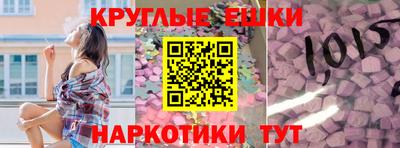индика Кингисепп