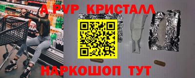 индика Кингисепп