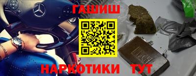 индика Кингисепп