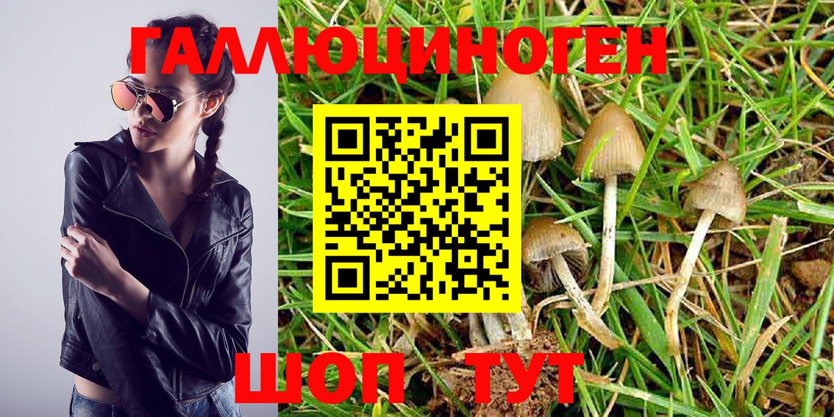 Псилоцибиновые грибы Magic Shrooms  Вход с VPN  Киржач 